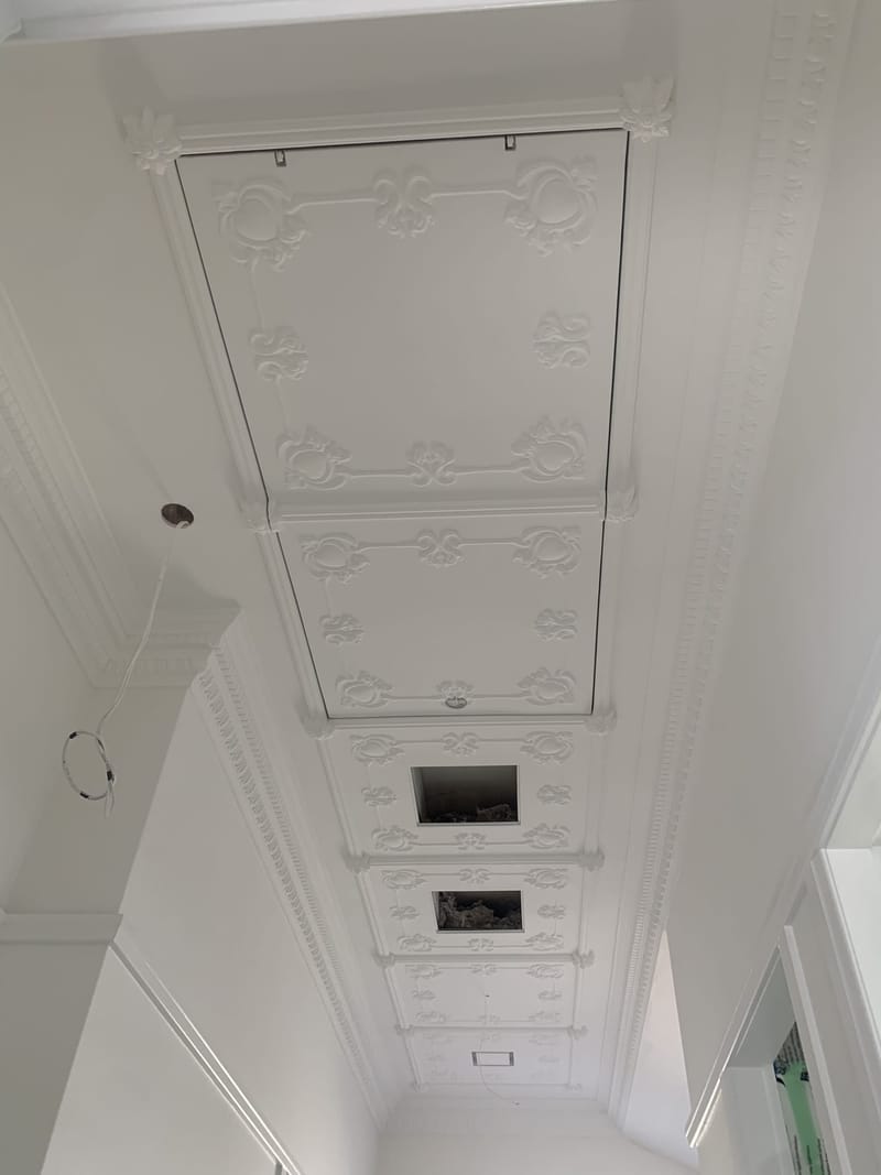 Ceiling Systems project photo 22