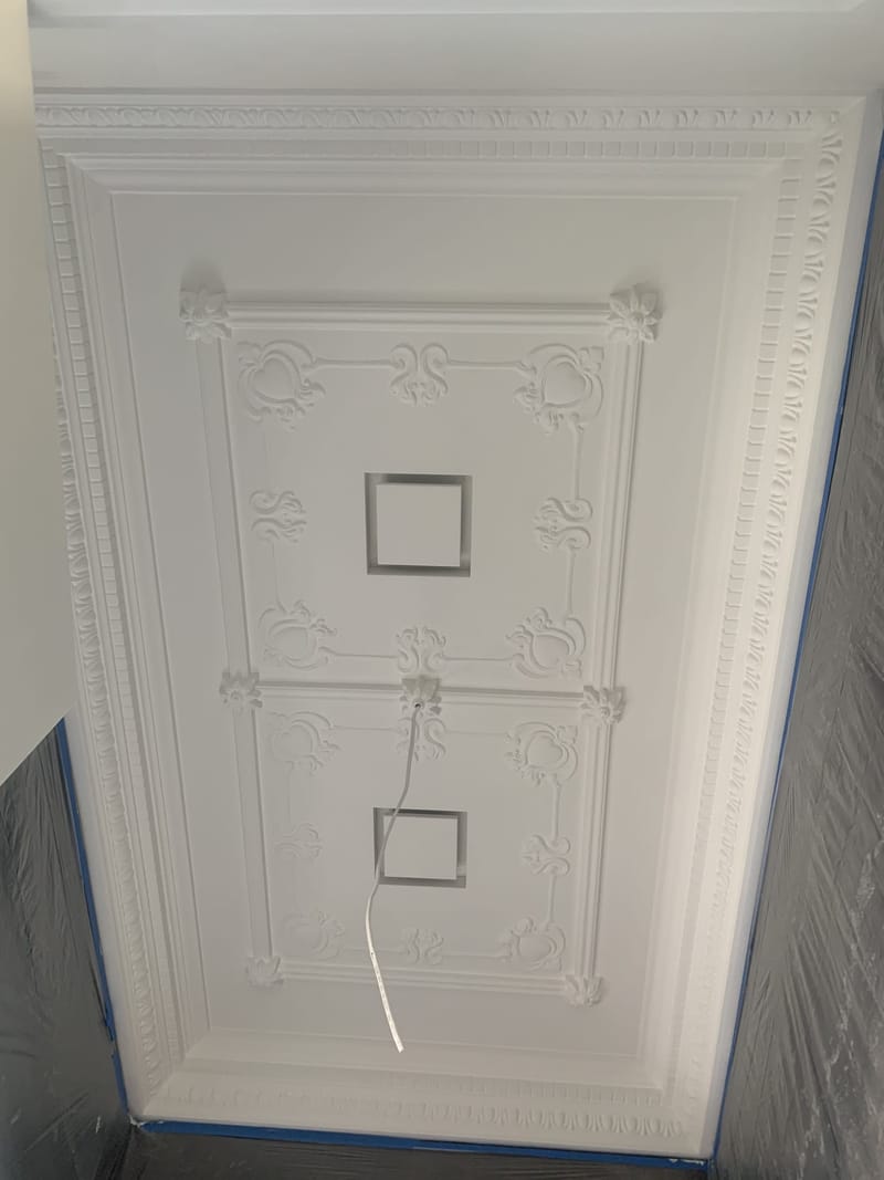 Ceiling Systems project photo 23